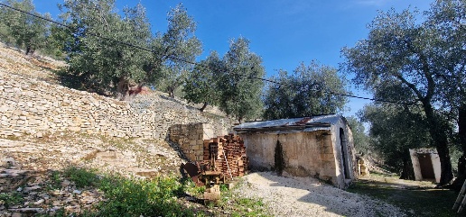 Foto Terreno agricolo in Località Lama le Noci, Vieste in vendita