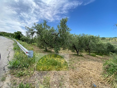 Foto Terreno agricolo in Contrada Strane snc, Cupello Centro di 15000 m²