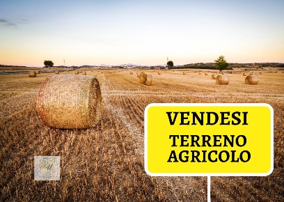 Foto Terreno agricolo a Torreano di 7420 m² in vendita