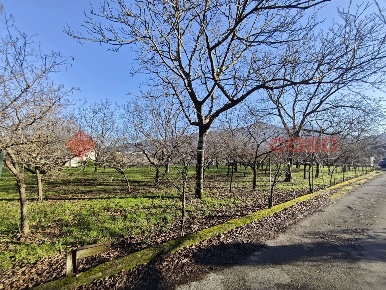 Foto Terreno agricolo in Via Corticelle 40, Mercato San Severino di 800 m²