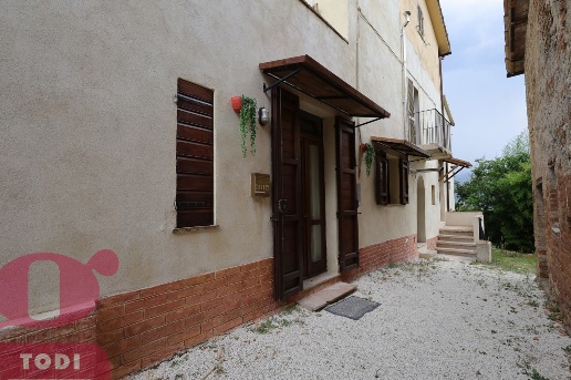 immagine annuncio 0 di 12