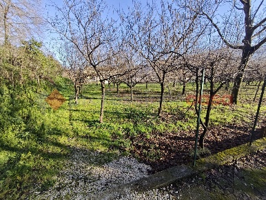Foto Terreno agricolo in Via Corticelle 40, Mercato San Severino di 2000 m²
