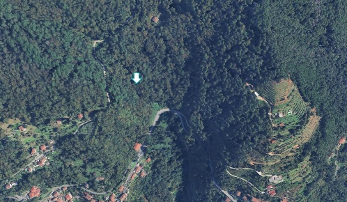 Foto Terreno agricolo a Massa Bergiola - Lavacchio di 7503 m² in vendita