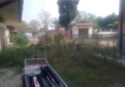 immagine annuncio 6 di 8