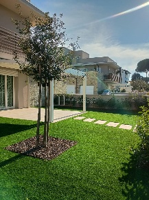 Foto Appartamento a Pisa Tirrenia di 70 m² con 3 locali in affitto