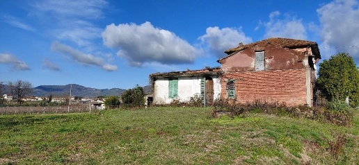 immagine annuncio 10 di 13