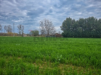 Foto Terreno residenziale in via michelangelo, Cappelle sul Tavo di 1050 m²