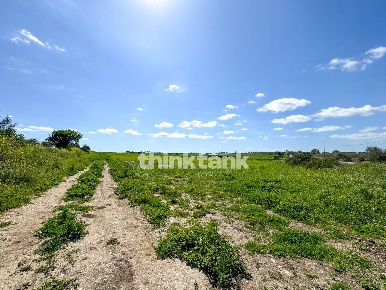 Foto Terreno agricolo in s.lorenzo IX strada snc, Noto San Lorenzo