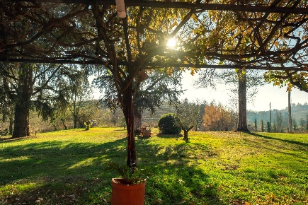 Foto Villa unifamiliare in strada provinciale 40, Nizza Monferrato