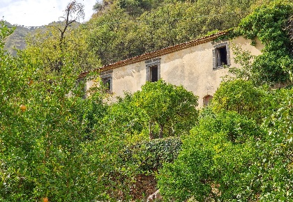 Foto Rustico in strada provinciale 81 snc, Castiglione di Sicilia di 850 m²