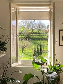 Foto Rustico a Gargnano di 347 m² con 5 locali in vendita