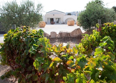 Foto Hotel in contrada favara snc, Ispica di 300 m² con 5 locali in affitto