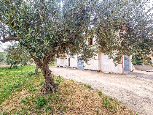 immagine annuncio 10 di 13