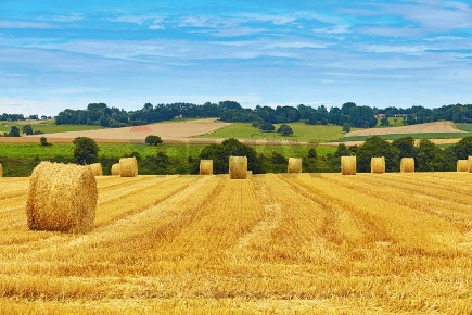 Foto Terreno agricolo a Pozzonovo di 4200 m² in vendita
