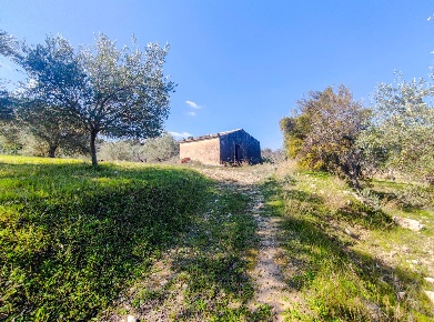 Foto Rustico in Strada Statale 115 snc, Noto di 110 m² con 5 locali