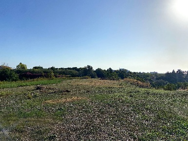 Foto Terreno agricolo in Via Puzzi, Avola di 10000 m² in vendita