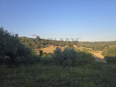 Foto Terreno agricolo in contrada selva stella, Moscufo di 29970 m²