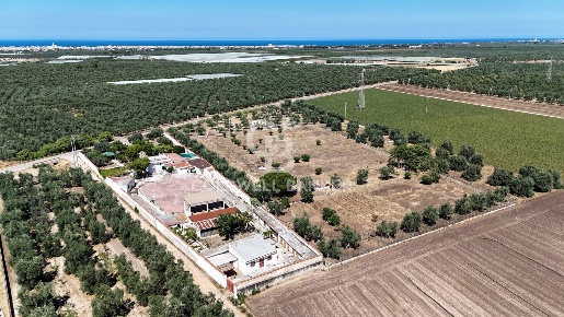 Foto Rustico in STRADA PROVINCIALE 13 NC, Trani di 720 m² con 6 locali