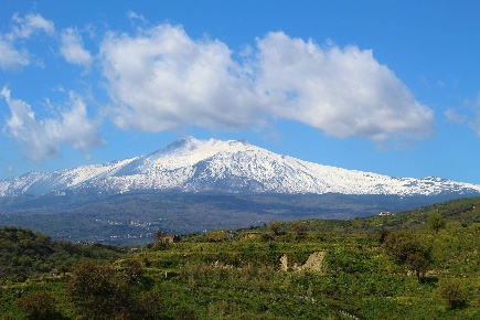 Foto Terreno agricolo in ss120 snc, Linguaglossa di 10000 m² in vendita
