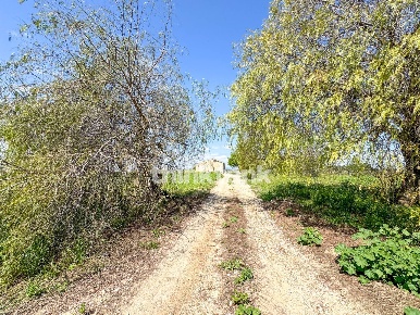 Foto Rustico in Contrada Sciubbia, Noto di 200 m² con 4 locali in vendita