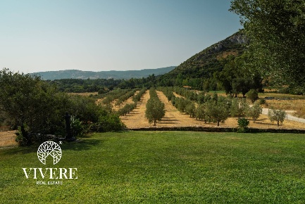 Foto Residence in località san simplicio snc, Siniscola Centro di 1860 m²