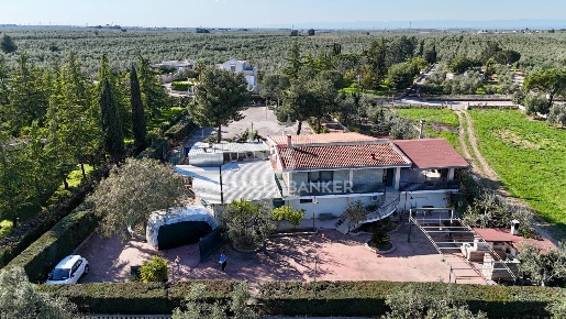 Foto Villa unifamiliare Andria Montegrosso - Boschetto di 630 m² in vendita
