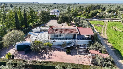 Foto Villa unifamiliare Andria Montegrosso - Boschetto di 630 m² in vendita
