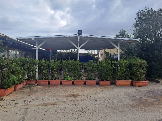 immagine annuncio 6 di 9