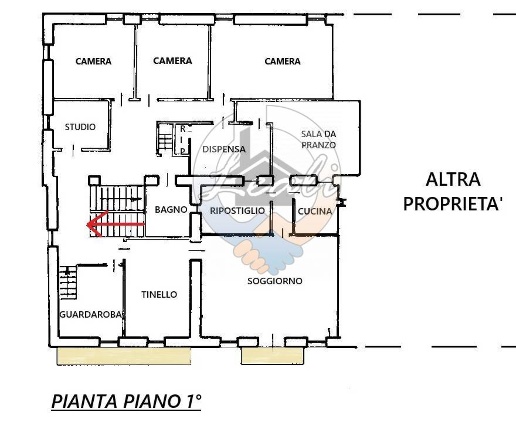 immagine annuncio 1 di 6