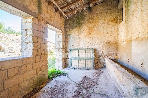 immagine annuncio 7 di 14