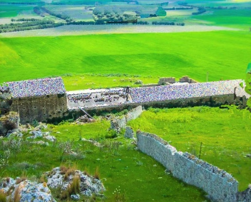 immagine annuncio 10 di 12