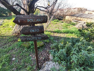 Foto Terreno agricolo in Via Colle di Mitriano, Guidonia Montecelio