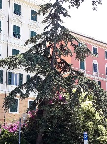 Foto Appartamento in Via delle Cappuccine, Genova di 129 m² con 7 locali