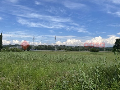 Foto Terreno agricolo a Collesalvetti di 20960 m² in vendita