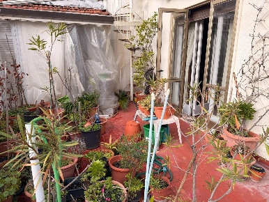 Foto Attico a Viareggio Centro di 90 m² con 5 locali in vendita