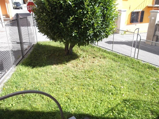 immagine annuncio 13 di 14