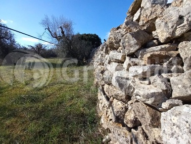 Foto Terreno agricolo in Contrada Masseria Grande 10, Ugento di 3165 m²
