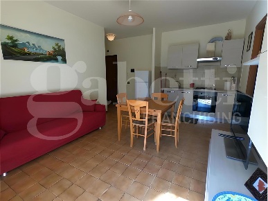 Foto Appartamento in Via FRATELLI ROSSELLI 61, Nettuno di 50 m² in affitto