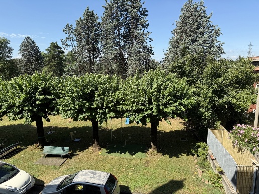 immagine annuncio 6 di 7