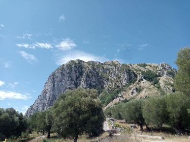 Foto Terreno agricolo in Ceraselle, Roccagloriosa di 2619 m² in vendita