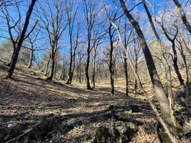 Foto Terreno agricolo in strada mareneve, Linguaglossa di 2000 m²