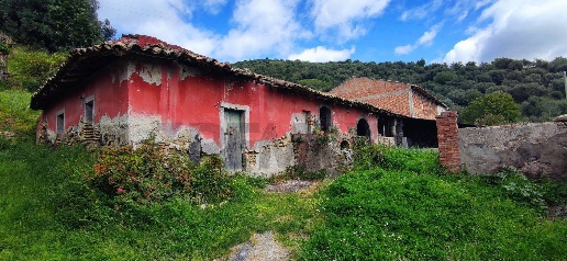 Foto Terreno agricolo in C.da Fiascara, Taormina di 28000 m² in vendita