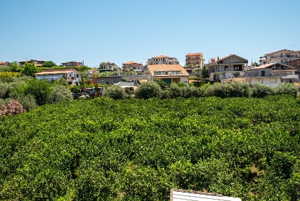 Foto Terreno agricolo in via dei gladioli 28, Taormina di 6300 m²