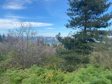 Foto Terreno agricolo in strada mareneve, Linguaglossa di 10000 m²