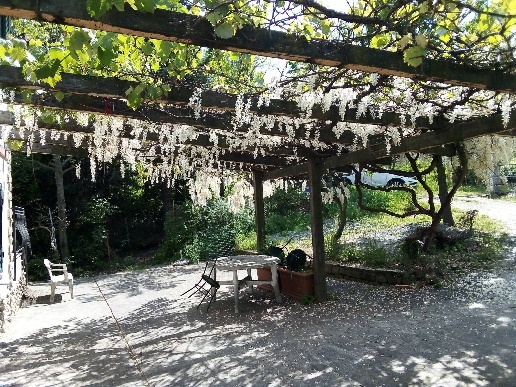 immagine annuncio 3 di 8