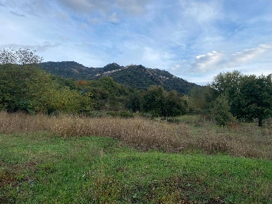 Foto Terreno agricolo in contrada scatolino snc, Francavilla di Sicilia