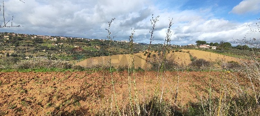 Foto Terreno agricolo in C.DA REGALSEMI SN, Caltagirone di 6610 m²