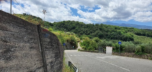 Foto Terreno agricolo in contrada scorciagatto snc, Castiglione di Sicilia
