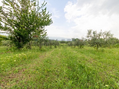 Foto Terreno agricolo in Via Colle Pallavicini 40, Zagarolo Centro