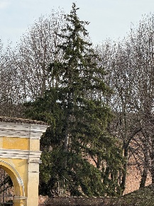 Foto Appartamento a Mantova Anconetta - Gradaro di 105 m² con 2 locali